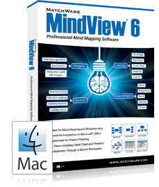 matchware mindview 6